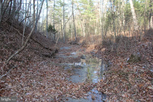a view of a yard with lots of bushes