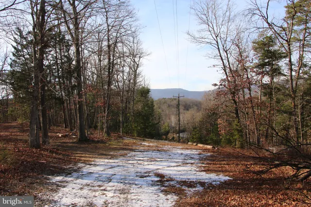 a backyard of a house with lots of trees