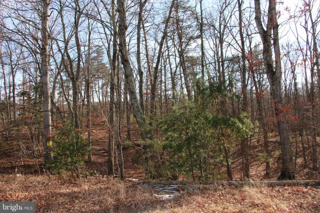 a backyard of a house with lots of plants and space