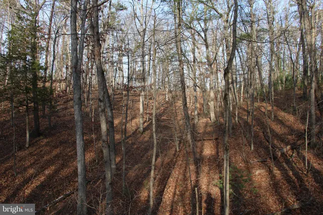 a view of outdoor space and covered with trees