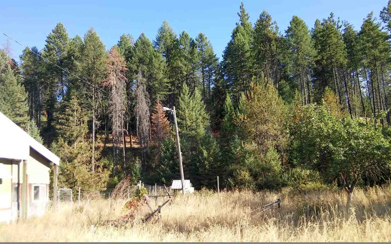 3679 West Jump Off Road Valley, WA 99181 - Photo 12 of 16