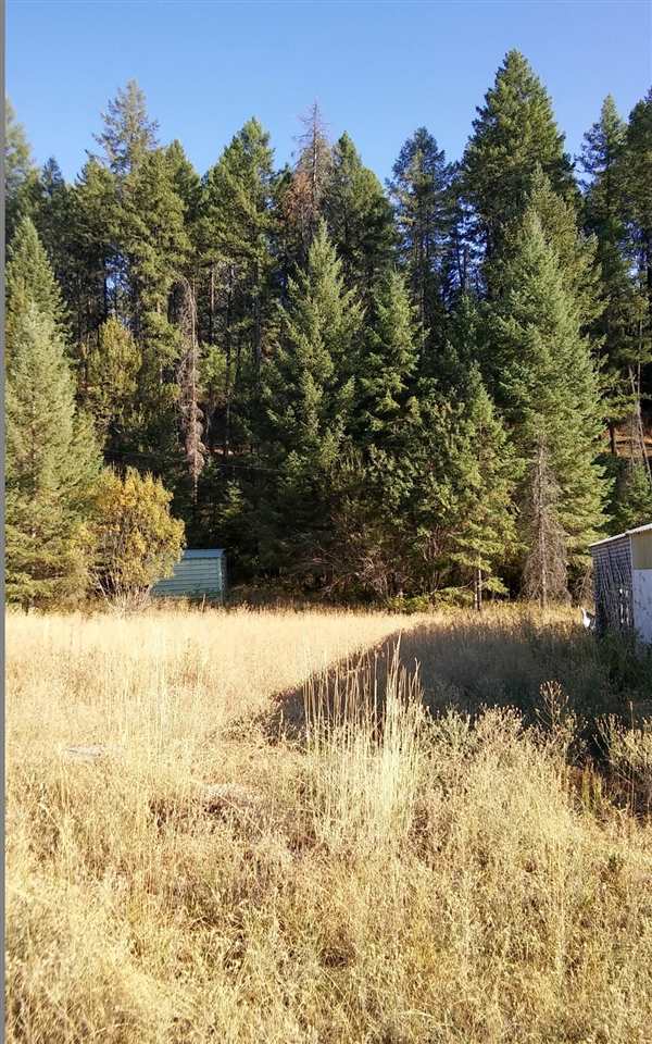 3679 West Jump Off Road Valley, WA 99181 - Photo 15 of 16