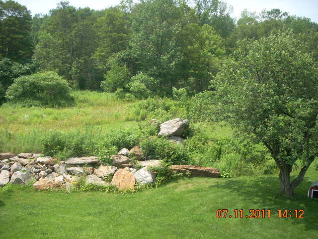 49 S Road Peru, MA 01235 - Photo 20 of 21 a view of a park with large trees