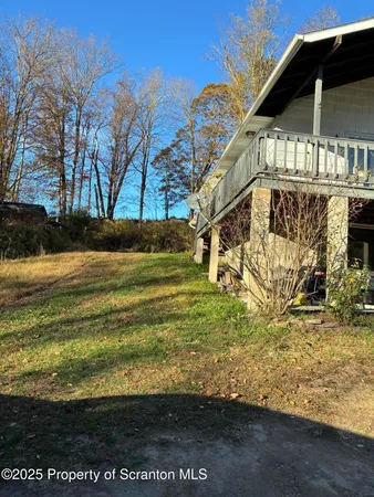 a view of a yard with an tree