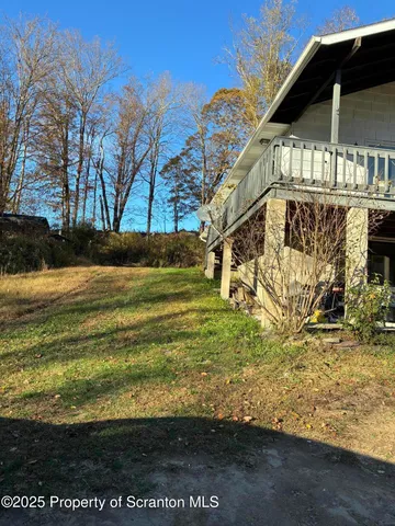 a view of a yard with an tree