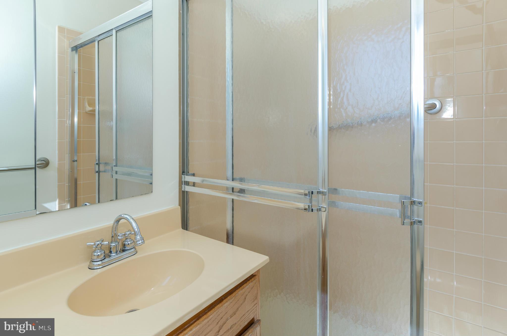 11524 Colt Terrace Silver Spring, MD 20902 - Photo 13 of 27 Roomy Shower in MBA