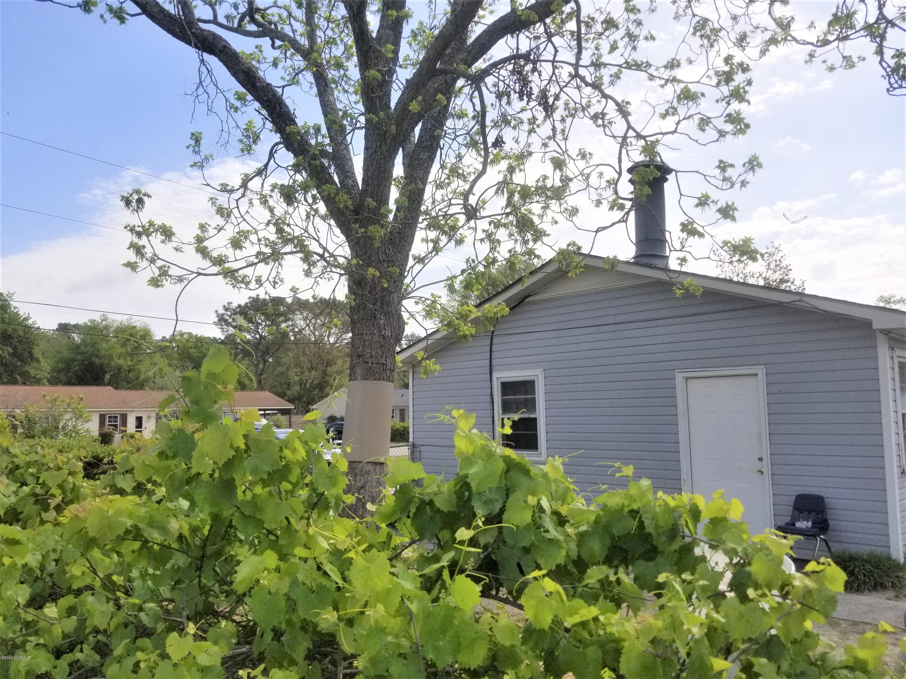229 Wallington Road Wilmington, NC 28409 - Photo 6 of 21 229 Wallington Rd side 2