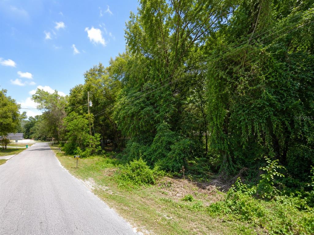 6824 East Falcon Rest Lane Inverness, FL 34452 - Photo 3 of 4