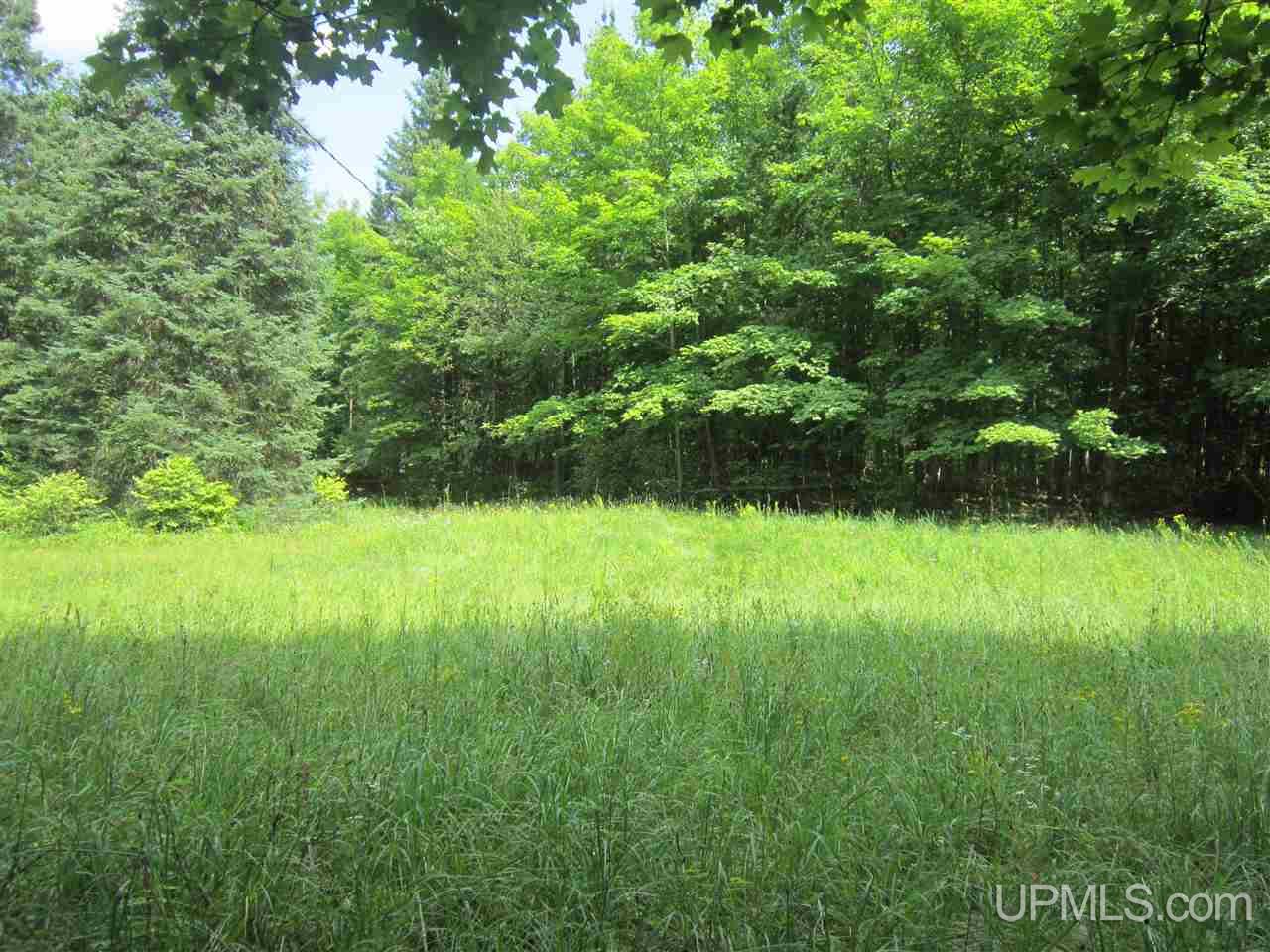 N4227 Et Road Eben Junction, MI 49816 - Photo 18 of 21