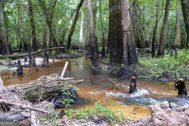 a view of outdoor space and trees