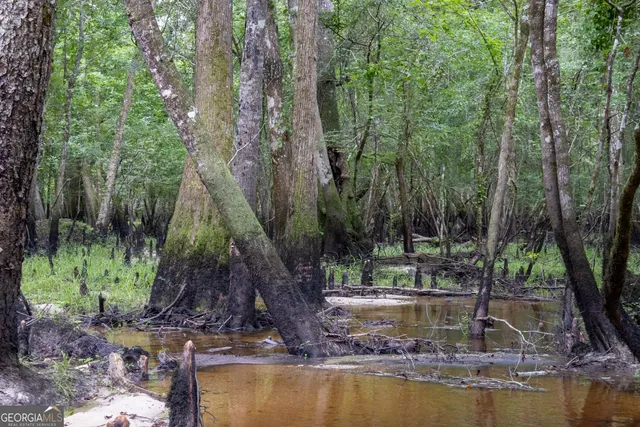 a lake view with a lake view