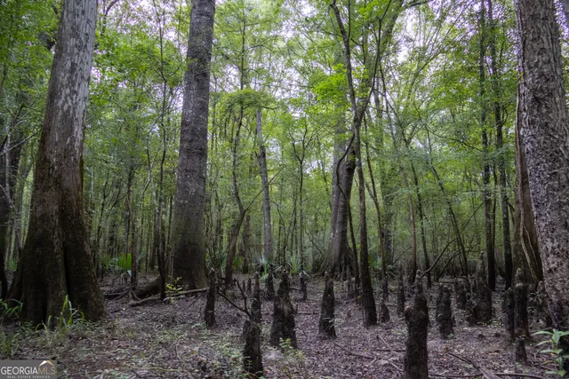a view of a parking area