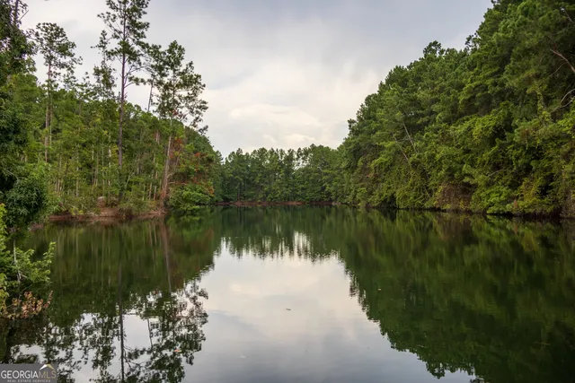 a view of a lake from a yard