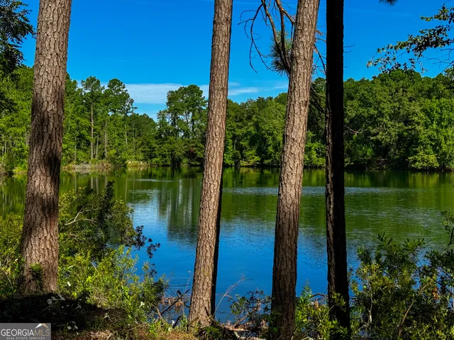 a view of a lake with a yard