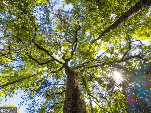 a view of outdoor space and trees