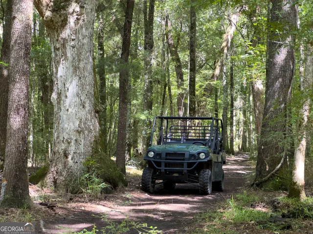 a view of outdoor space with lots of trees
