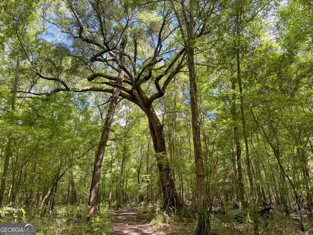 a view of outdoor space with trees