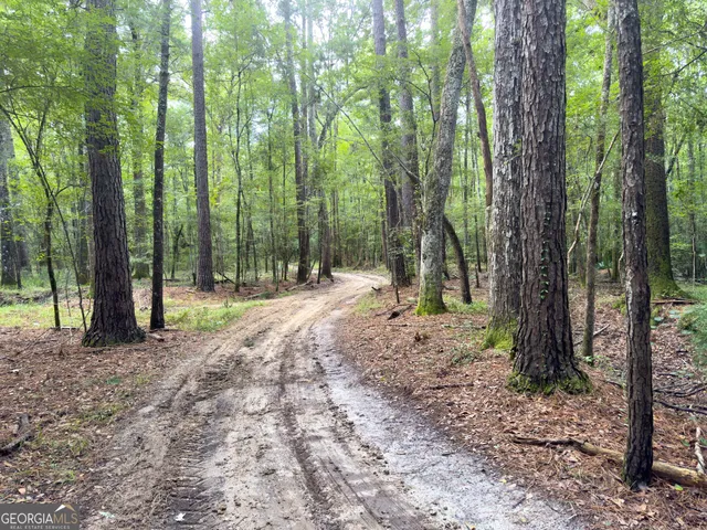 a view of outdoor space with lots of trees