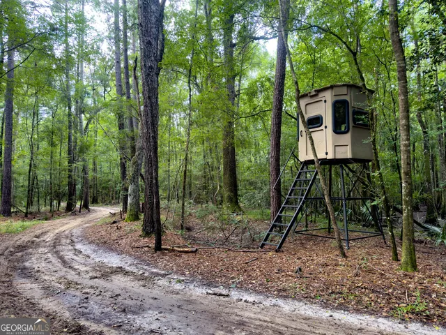 a view of backyard with green space
