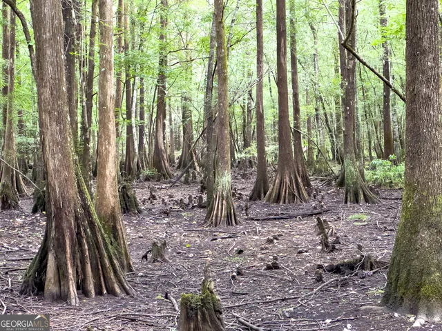 a view of yard with tree in the background