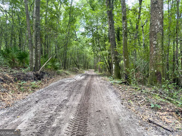 a view of a park with large trees