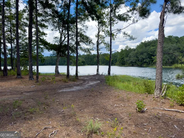 $3,500,000 | 124 Harvey Road, Bloomingdale, GA 31302