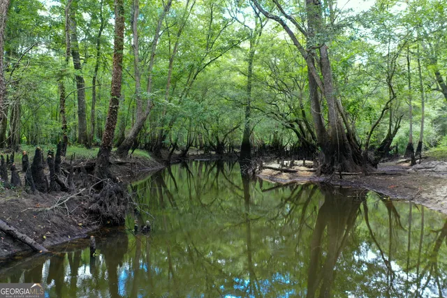 a view of a lake with a city