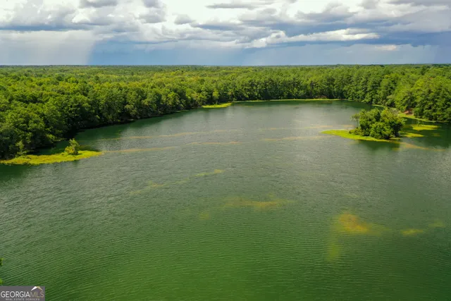 an aerial view of a house with a lake view