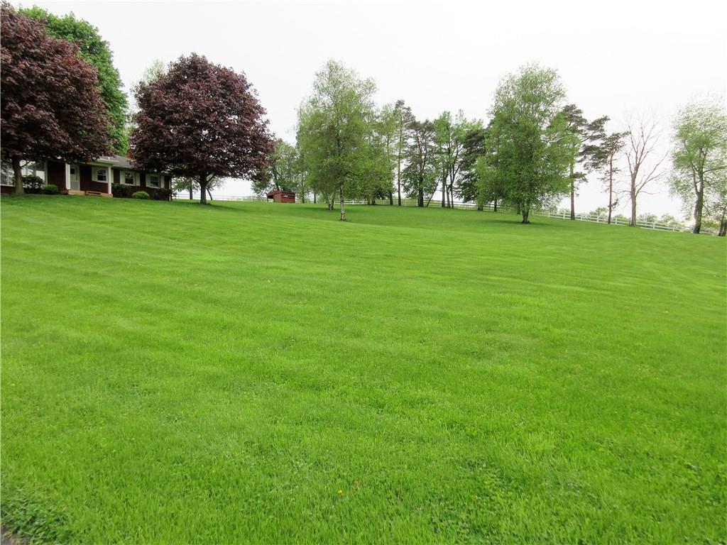 182 Ford City Road Freeport, PA 16229 - Photo 23 of 24 Front yard