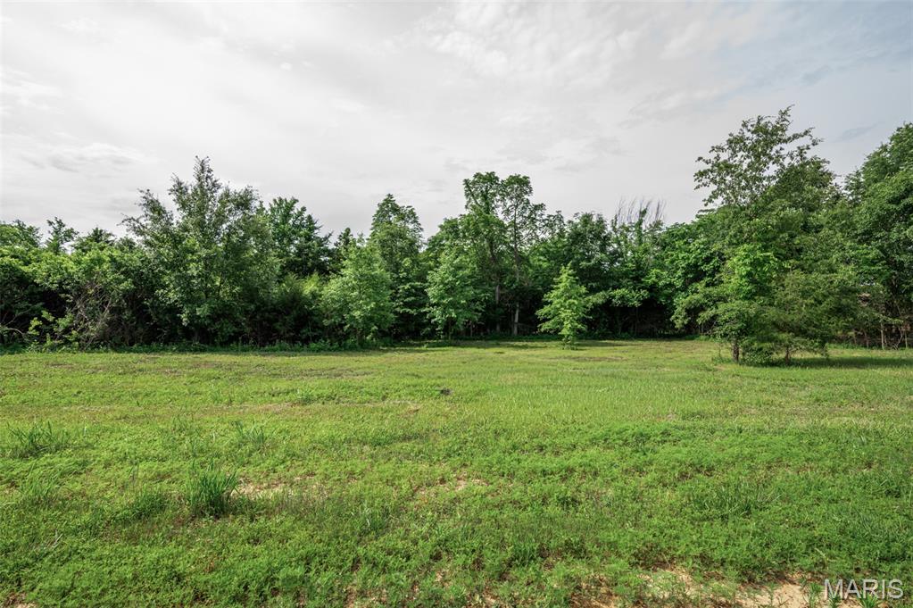 8 Halyon Estates Perry, MO 63462 - Photo 5 of 28