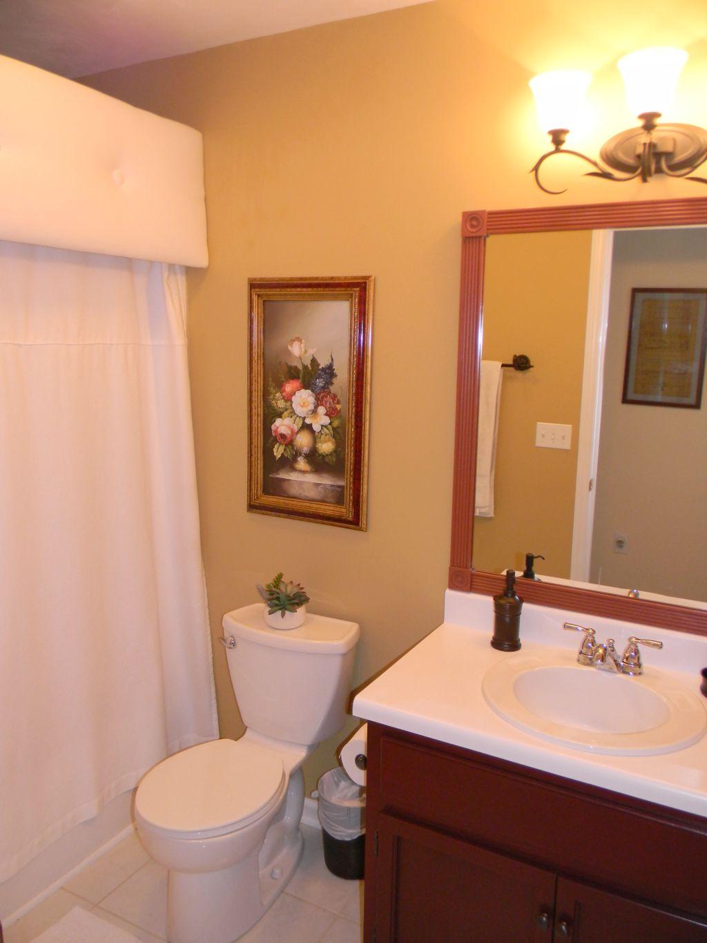 1461 Archway Road Blue Ridge, VA 24064 - Photo 14 of 32 Hall Bath