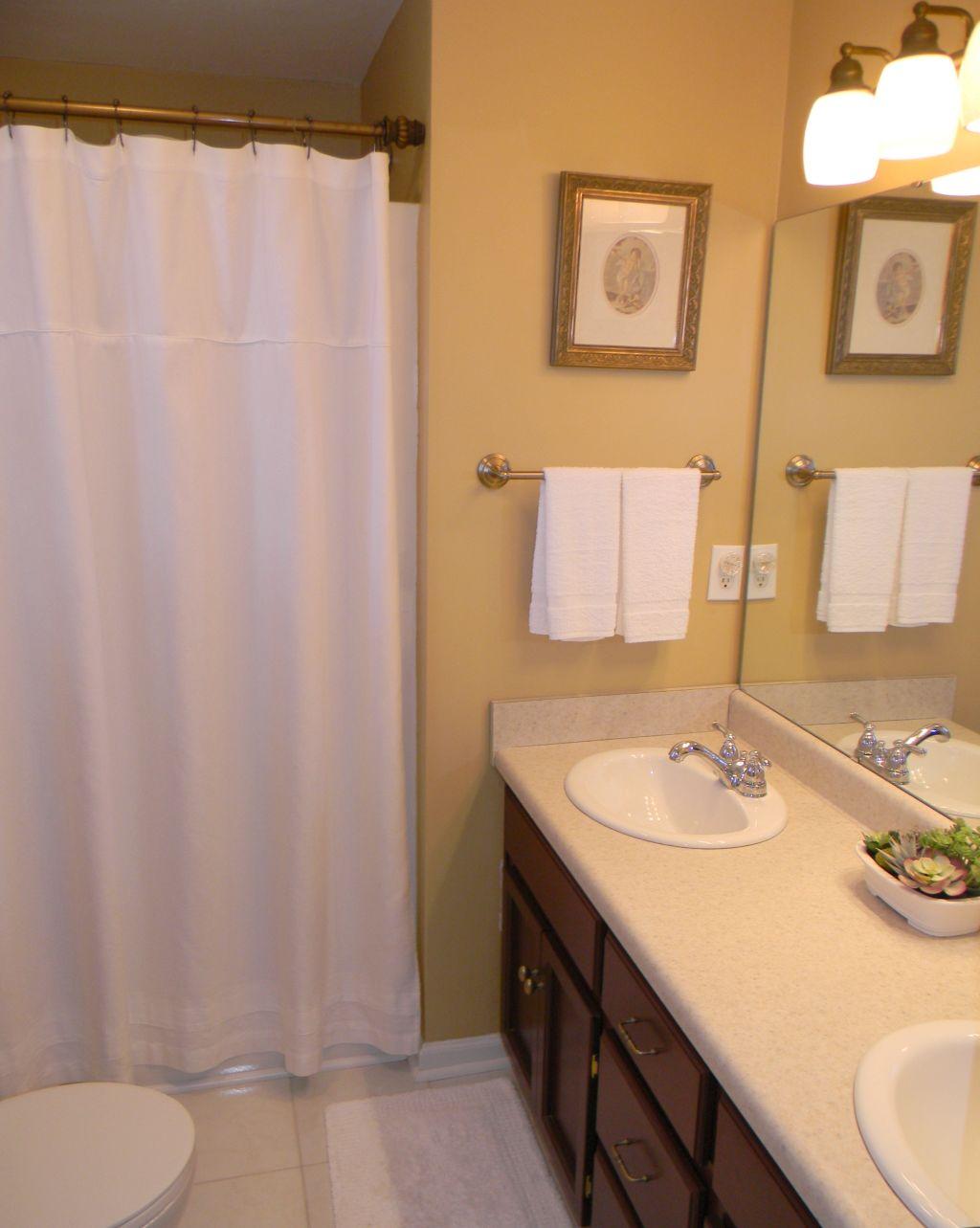 1461 Archway Road Blue Ridge, VA 24064 - Photo 19 of 32 Master Bedroom Bath