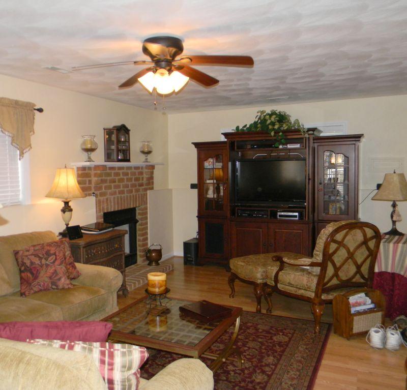 1461 Archway Road Blue Ridge, VA 24064 - Photo 21 of 32 Lower Level Family Room