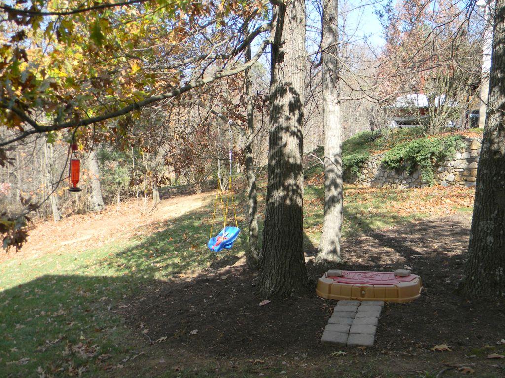 1461 Archway Road Blue Ridge, VA 24064 - Photo 28 of 32 Play Area