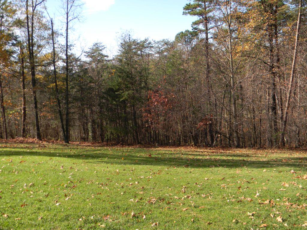 1461 Archway Road Blue Ridge, VA 24064 - Photo 29 of 32 Backyard