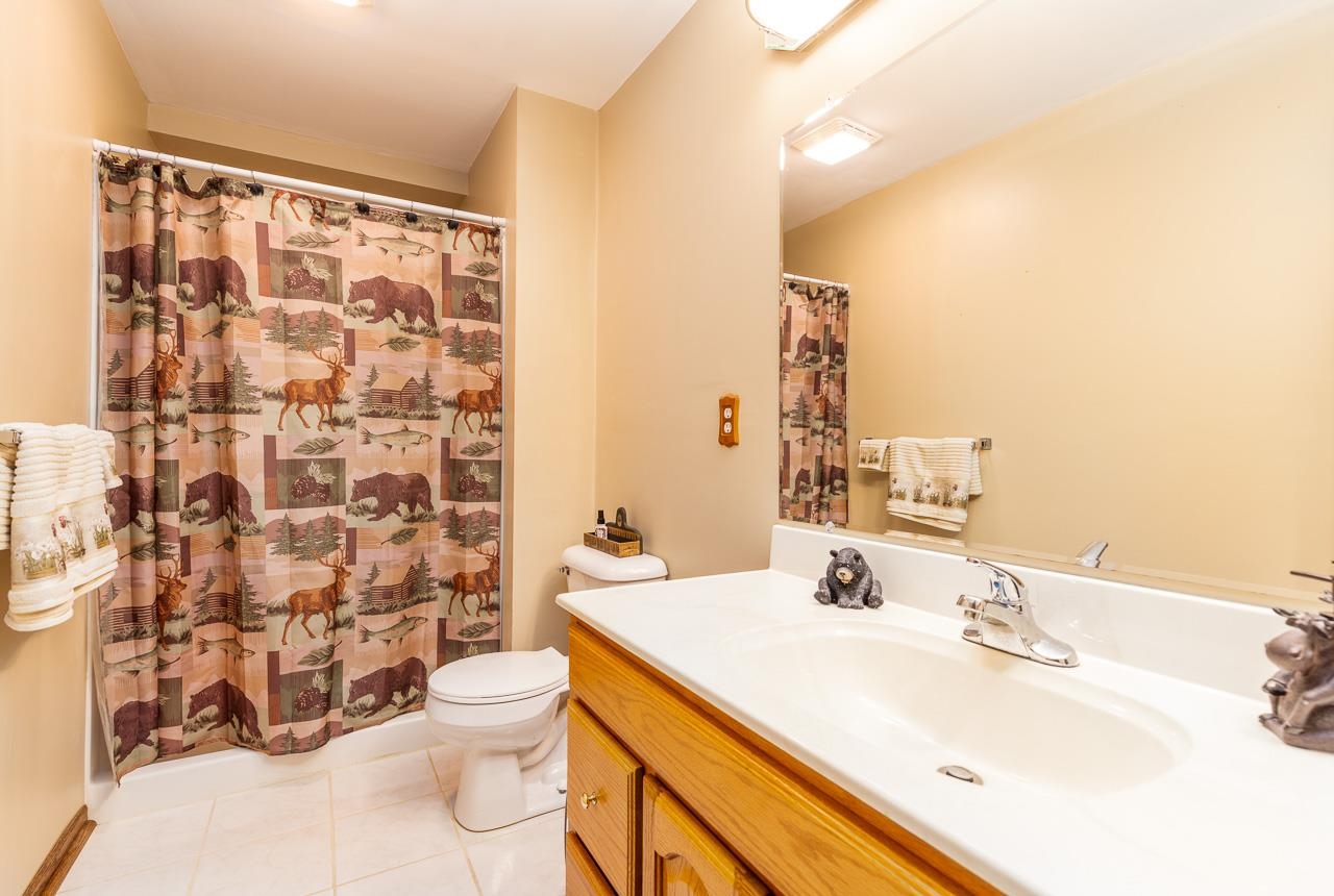 643 Knollwood Road Davis, IL 61019 - Photo 19 of 26 a bathroom with a sink toilet and shower