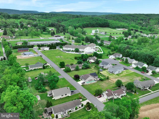 an aerial view of huge green field with lots of green plants