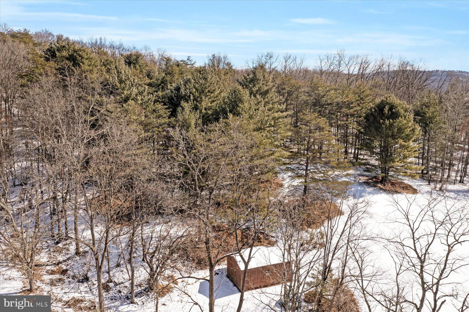 117 Dry Top Road Bellefonte, PA 16823 - Photo 42 of 44 Gallery Image 42