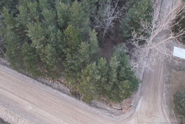 Mann Rd Port Port Sanilac, MI 48469 - Photo 18 of 20
