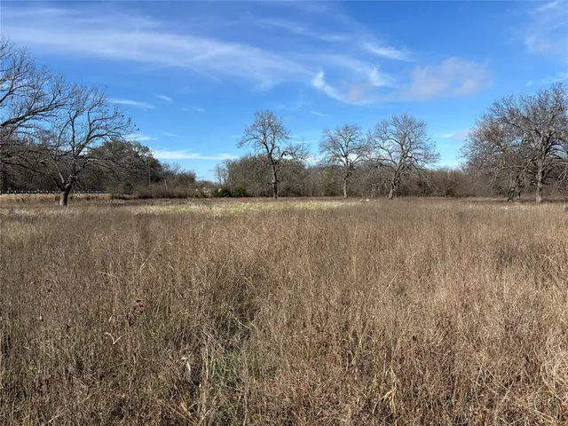 a view of a field with trees in the background