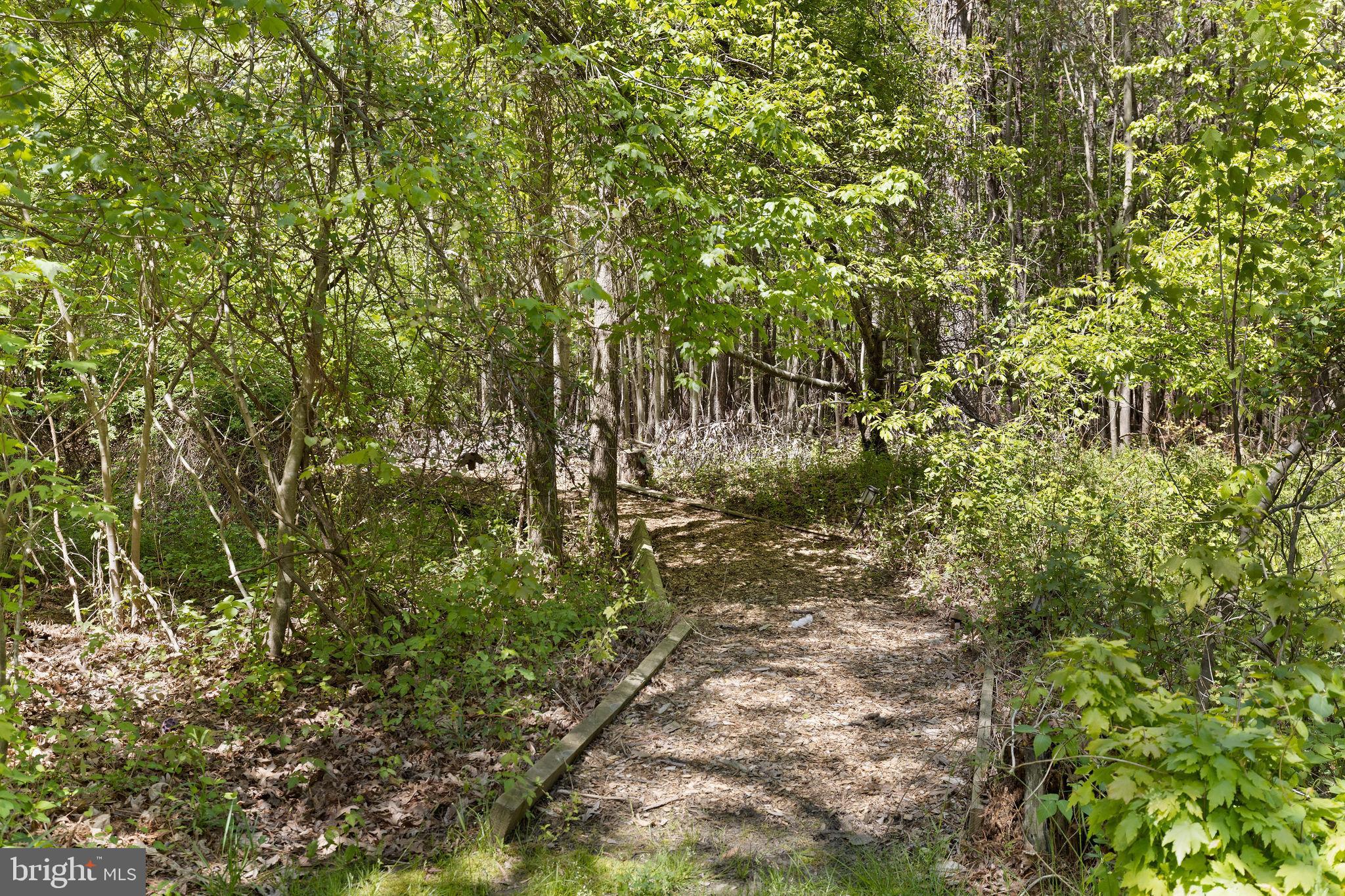 110 Queens Colony High Road Stevensville, MD 21666 - Photo 8 of 56 Private Pathway