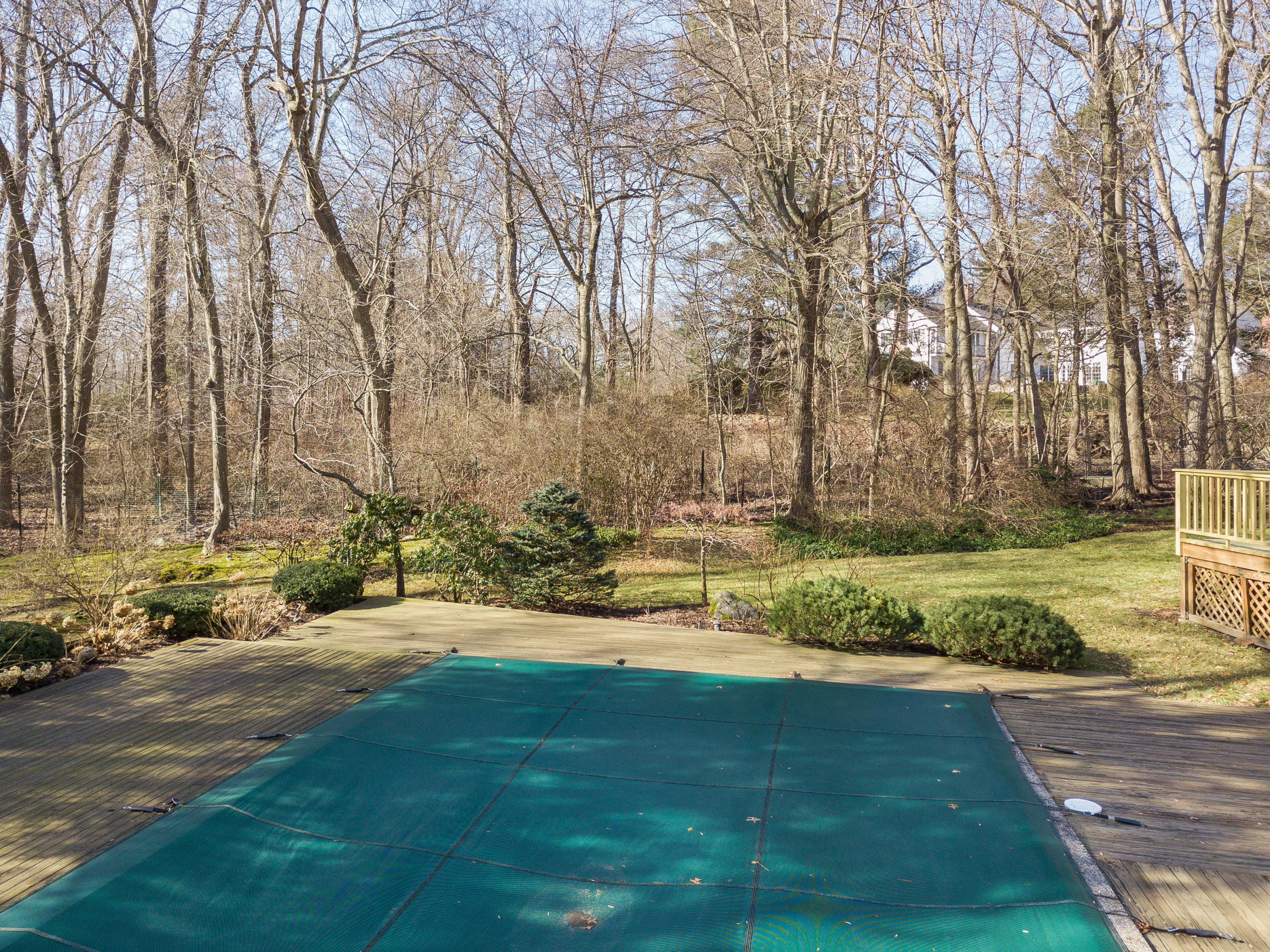 8 Priscilla Lane Darien, CT 06820 - Photo 23 of 37 a view of a yard with palm trees