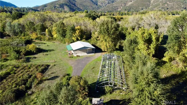 a view of a yard with plants and large trees