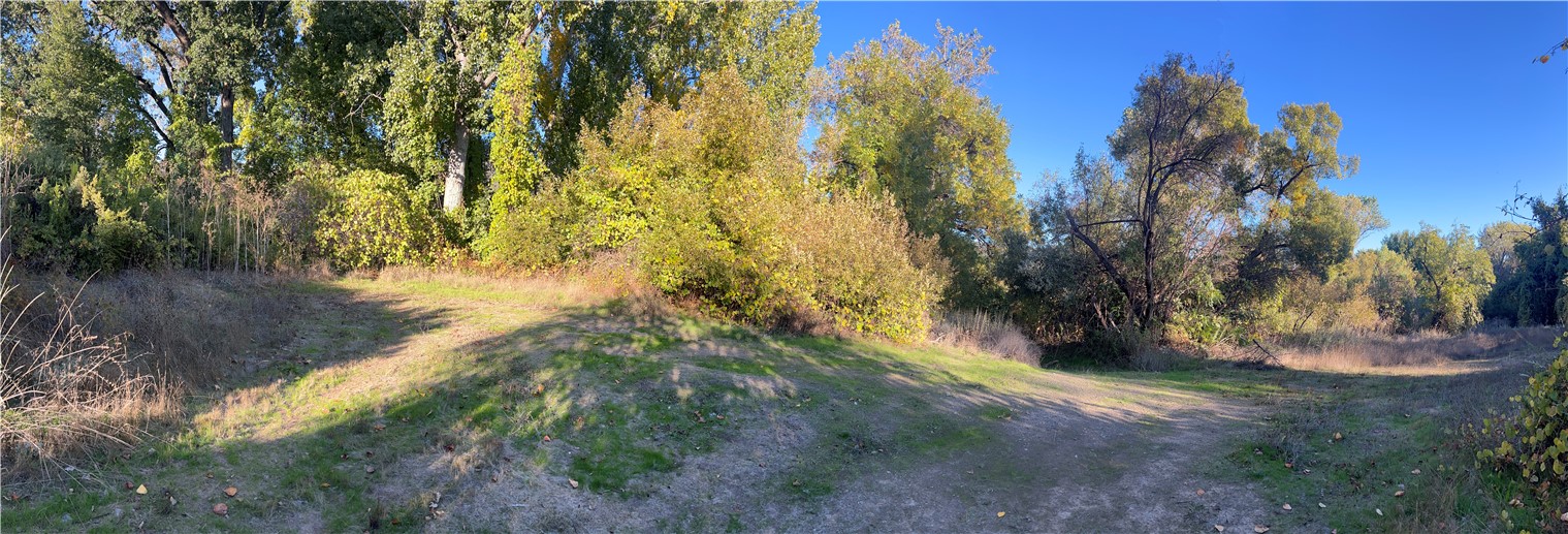 11255 Rancheria Road Upper Lake, CA 95485 - Photo 29 of 46 a view of a yard