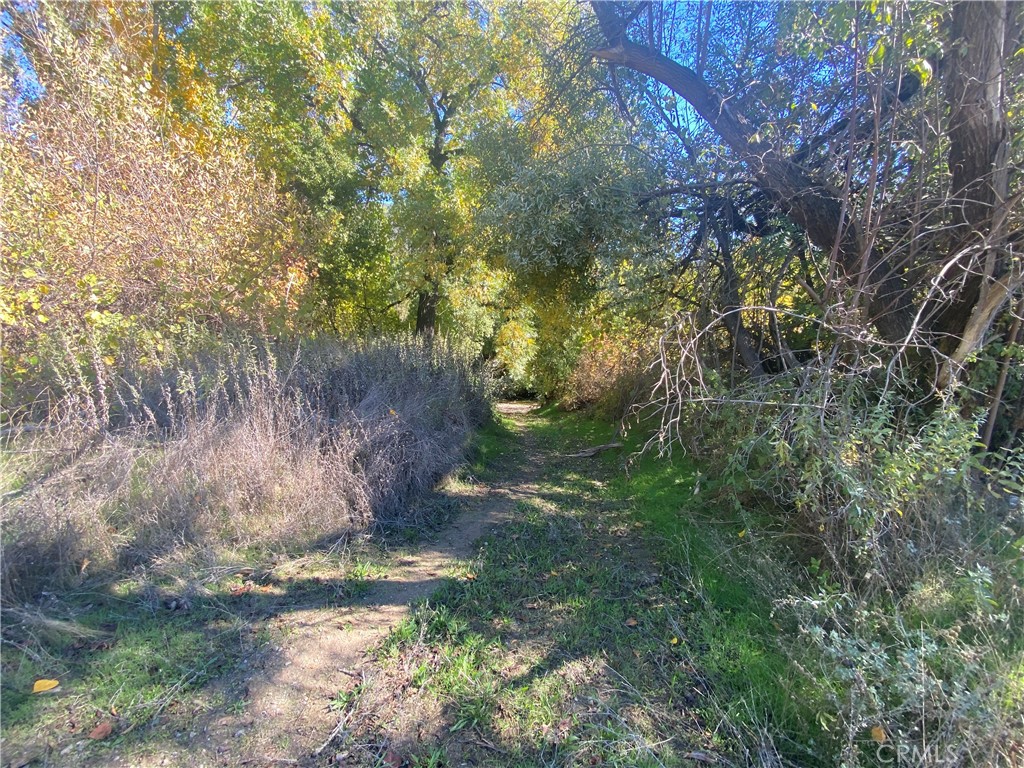 11255 Rancheria Road Upper Lake, CA 95485 - Photo 30 of 46 a backyard of a house with lots of green space