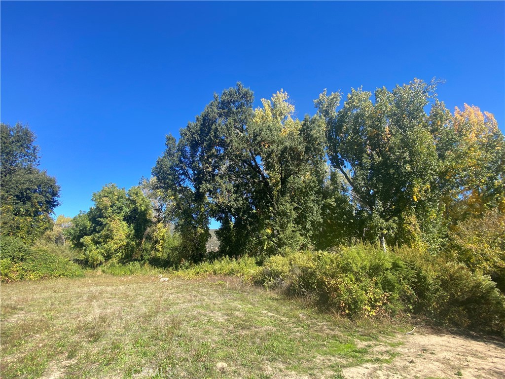 11255 Rancheria Road Upper Lake, CA 95485 - Photo 31 of 46 a view of a yard with a tree