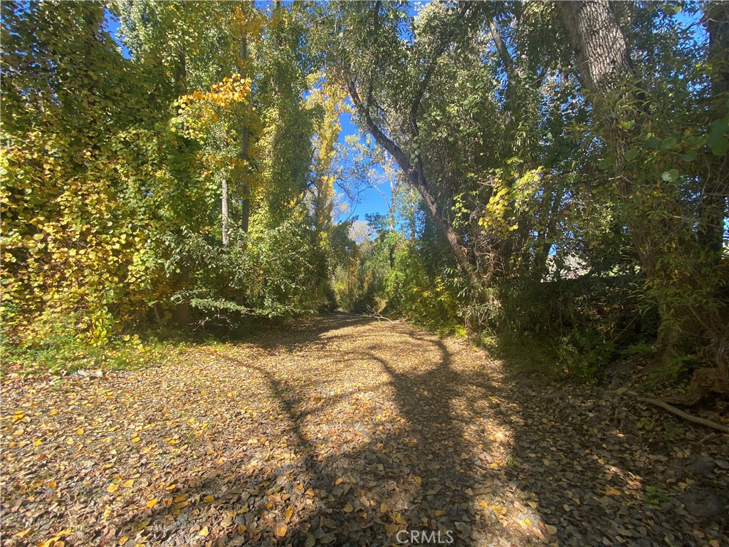 11255 Rancheria Road Upper Lake, CA 95485 - Photo 32 of 46 a backyard of a house with large trees