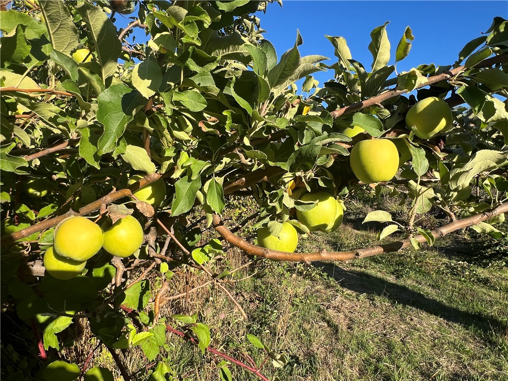 11255 Rancheria Road Upper Lake, CA 95485 - Photo 39 of 46