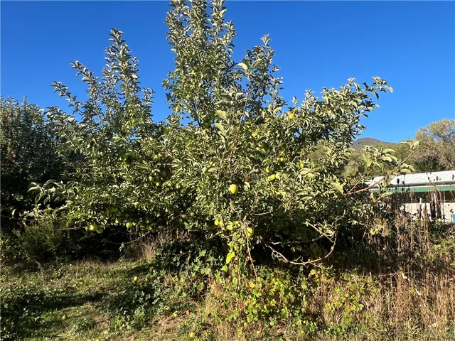 $489,000 | 11255 Rancheria Road, Upper Lake, CA 95485