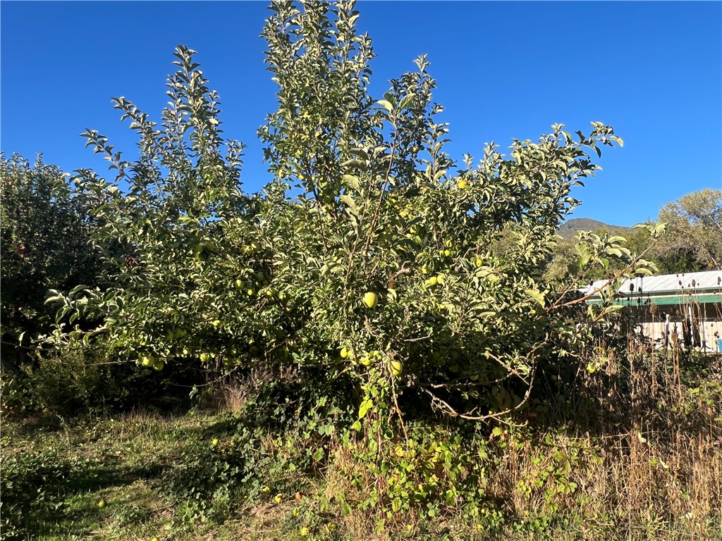 11255 Rancheria Road Upper Lake, CA 95485 - Photo 40 of 46